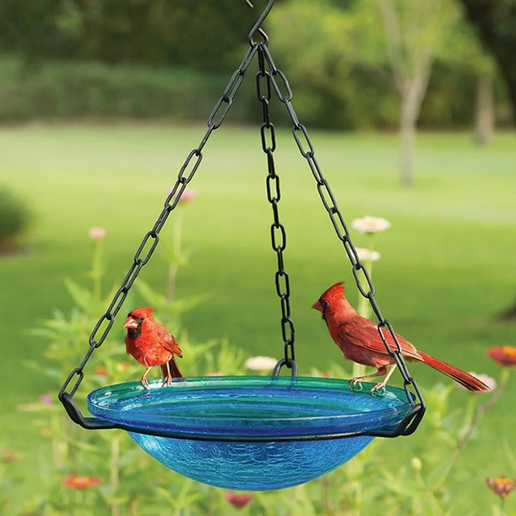 Hängende Glas-Vogeltränke für Ihre Terrasse
