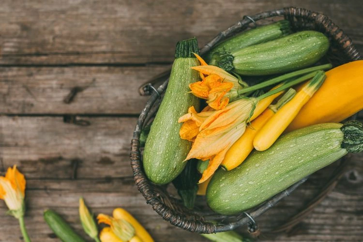 Handbestäubung als Trick - Zucchini-Pflanze anbauen
