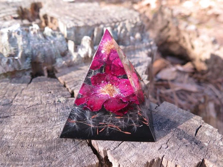 In Kunstharz in Pyramidenform Blüten konservieren