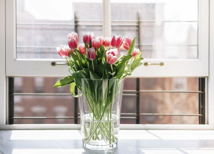 In einer großen Vase halten Tulpen länger