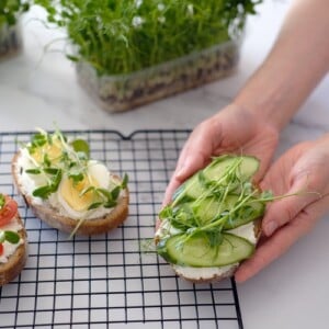 Kalorienarme Brotaufstriche herzhaft gesunde Brotbeläge zum Abnehmen