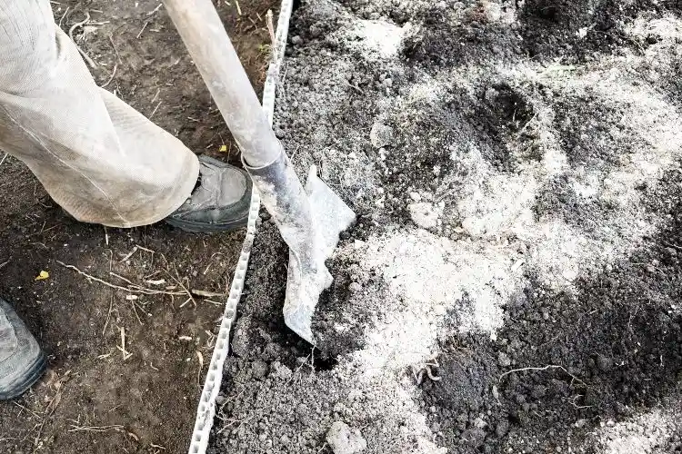 Lehmboden verbessern mit Kalk wann ist der richtige Zeitpunkt