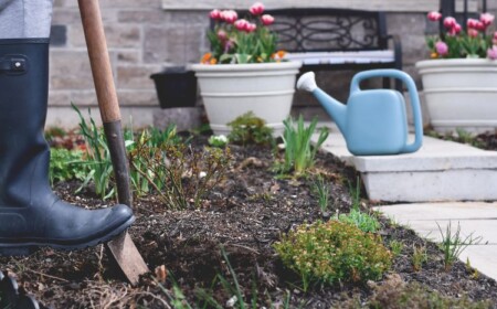 Lehmboden verbessern verschiedene Varianten mit Sand und Kalk und Regenwürmern