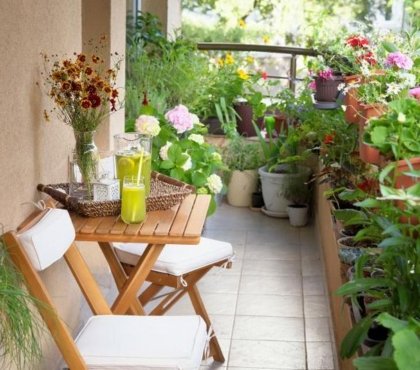 Pflegeleichte Balkonpflanzen - für einen sonnigen Standort