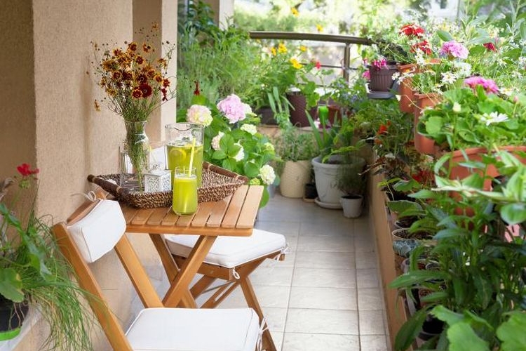 Pflegeleichte Balkonpflanzen - für einen sonnigen Standort