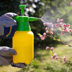 Selbstgemachte Jauchen gegen Schädlinge tragen zum ökologischen Gartenbau bei