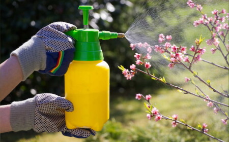 Selbstgemachte Jauchen gegen Schädlinge tragen zum ökologischen Gartenbau bei