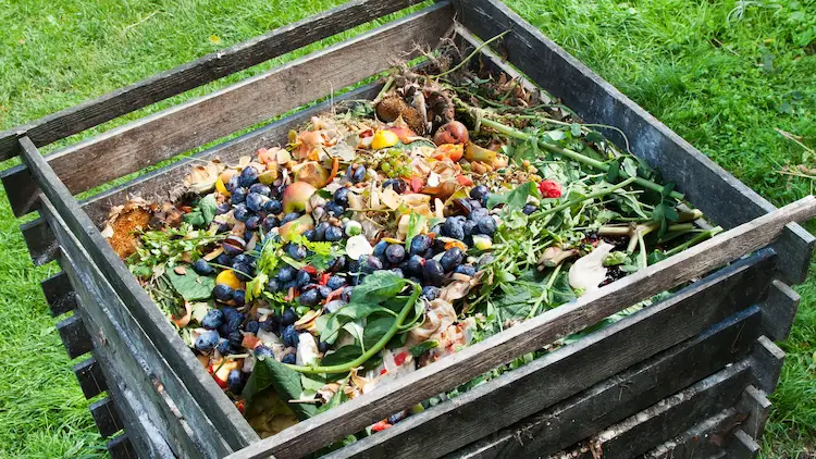 Selbstgemachter Kompost ist die beste natürliche Schädlingsbekämpfung gegen Ungeziefer im Garten