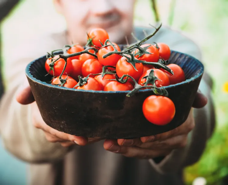Tomaten zum Abnehmen essen Regenbogen Diät Anleitung