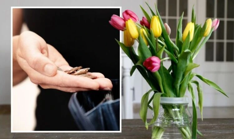 Tricks damit Tulpen in der Vase länger halten Münze