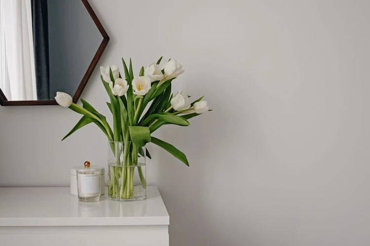 Was tun damit Tulpen länger schön und frisch bleiben