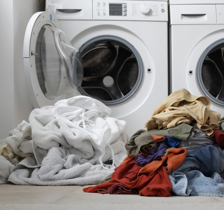 Waschen Sie die Kleidung bei höchster Temperatur, um die Hauswanzen zu entfernen