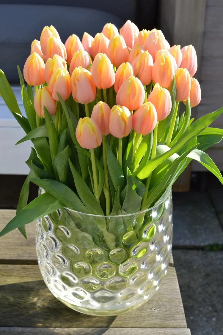 Welche Blumen zum Muttertag passen - Tulpen werden sicher viel Freude bereiten