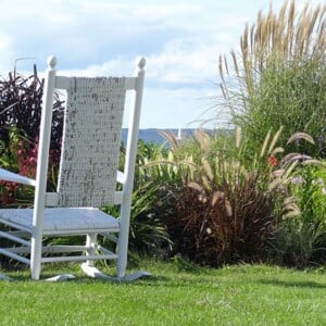 Welche Ziergräser im Mai pflanzen in den Garten