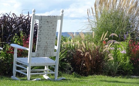 Welche Ziergräser im Mai pflanzen in den Garten
