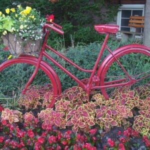 Wenn Sie Lust haben zu malen, können Sie das Velo in Frühlingsfarben wie Rosa streichen