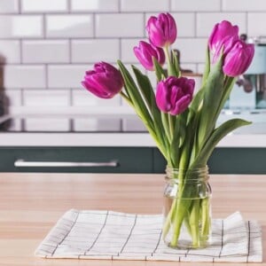 Wie halten Tulpen als Schnittblumen länger in Vase