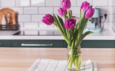 Wie halten Tulpen als Schnittblumen länger in Vase