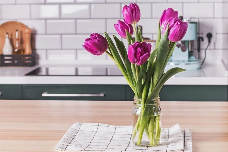 Wie halten Tulpen als Schnittblumen länger in Vase