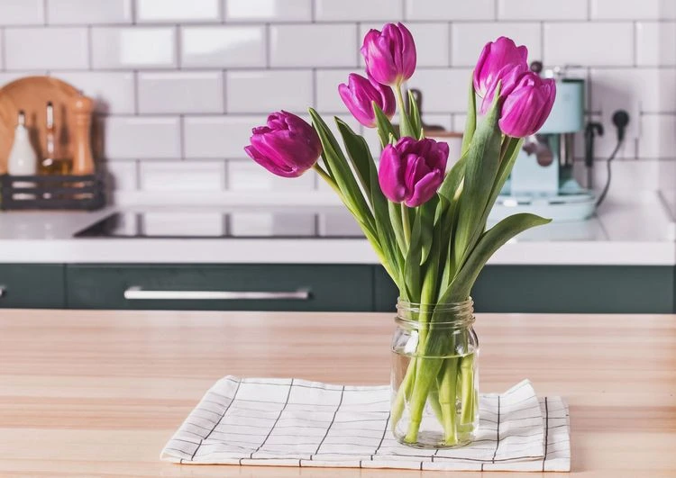 Wie halten Tulpen als Schnittblumen länger in Vase