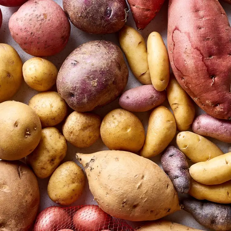 Wie verschiedene Kartoffelsorten richtig aufbewahren
