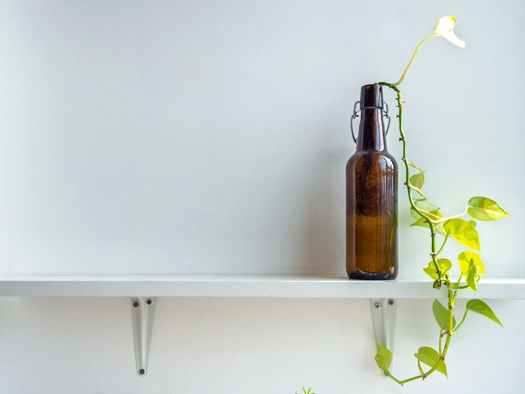 alternative zu blumentopf mit bierflasche als behälter für zimmerpflanzen im wohnbereich