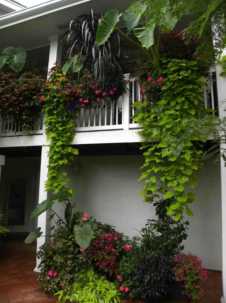 bepflanzung als sonnenschutz für balkon im innenhof