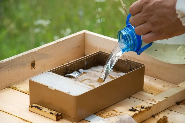 bienenzüchter gießt frisches wasser in ein kasten für die bienenpopulationen