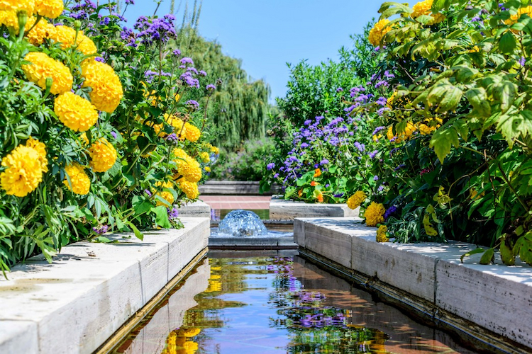 blühender garten mit gelben und lilafarbenen blumen um einem künstlichen bach