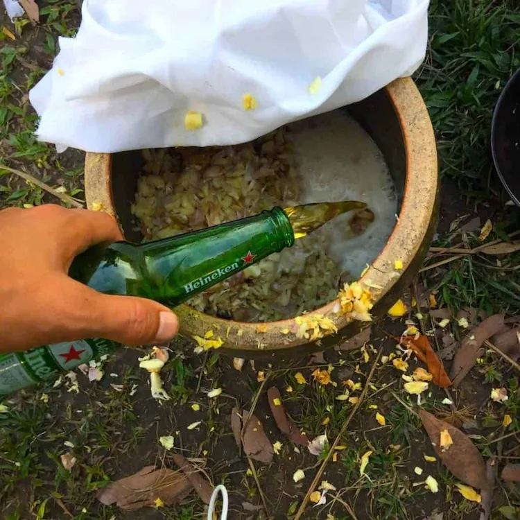 eine nahrhafte mischung aus kompost und bier als dünger für pflanzen im garten selber machen