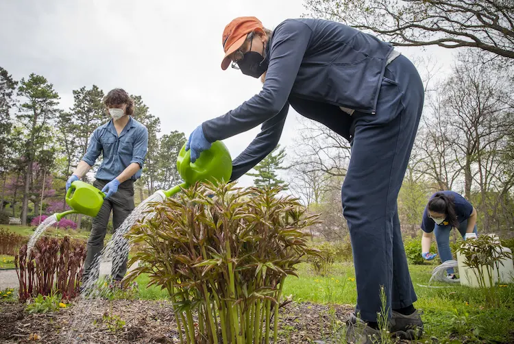 gärtner mit schutzmasken als dünger urin und helfen der umwelt durch energiesparende lösung ohne spülung