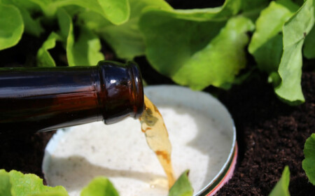 gartenboden mit bier verbessern als düngemittel verbessern