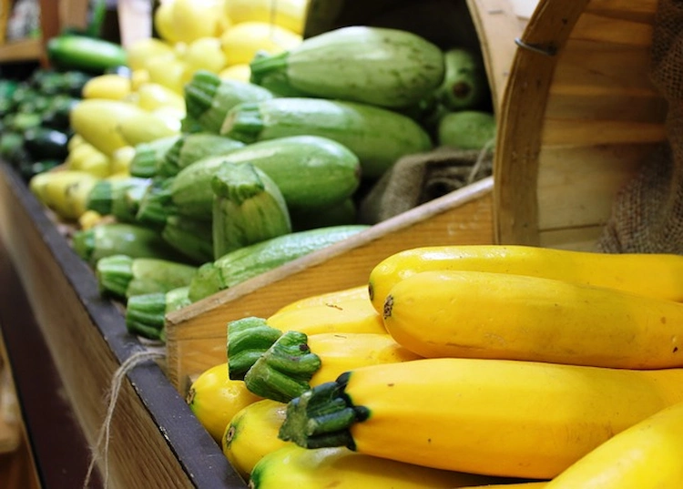 gelbe und grüne zucchini im laden kaufen oder selber als pflegeleichtes gemüse anbauen