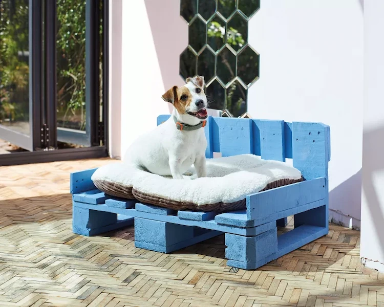 hellblaues hundebett aus holzpalette gebaut als akzent auf einer terrasse mit spiegeln an der wand