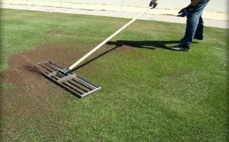 mischung aus sand und muttererden für ebene rasenflächen mit einem speziellen gartenwerkzeug verteilen