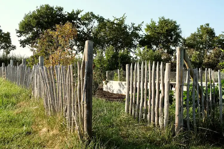 naturholz kastanie staketenzaun selber bauen im außenbereich