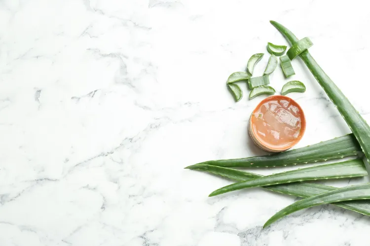 was tun bei Sonnenbrand im Gesicht Aloe Vera Gel selber machen