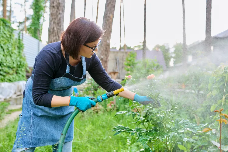 wie Blattläuse im Garten bekämpfen ohne Chemie Hausmittel gegen Schädlinge