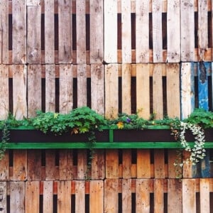 wie sich im garten mit paletten blumenkasten bauen und dekorieren lässt