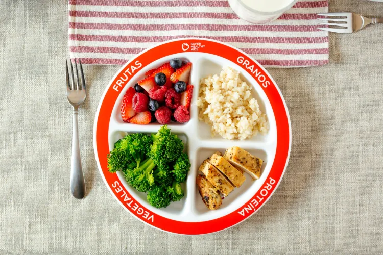 wie viel Protein am Tag essen Tellermethode zum Abnehmen Tipps