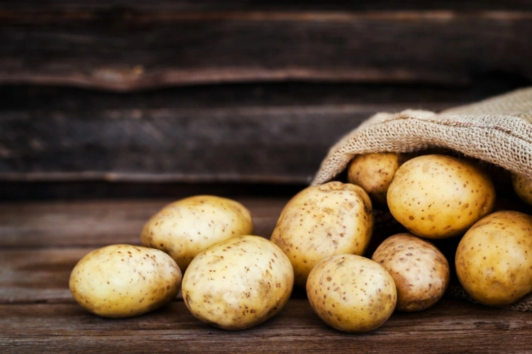 Ab wann Kartoffeln ernten - Frühkartoffeln sind nicht zum Lagern geeignet