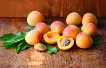 Aprikosen aus Kernen ziehen - Wie Sie die Samen vorbereiten