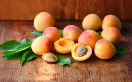 Aprikosen aus Kernen ziehen - Wie Sie die Samen vorbereiten