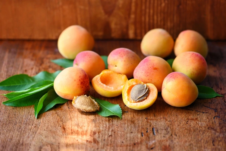 Aprikosen aus Kernen ziehen - Wie Sie die Samen vorbereiten