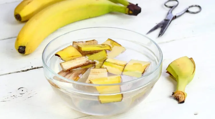 Bananenschalen als Pflanzendünger welche Pflanzen Küchenabfälle Dünger selber mavchen