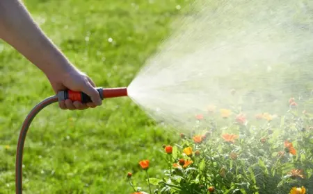 Blumen gießen bei Hitze - die wichtigen Tipps