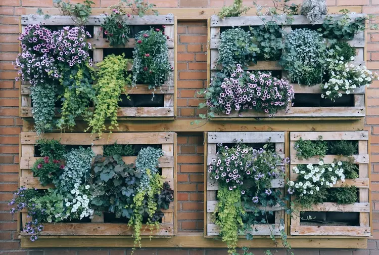 Coole Idee für Balkonwände mit verwerteten Paletten