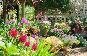 Gartenarbeit im Sommer Tipps für Juli und August