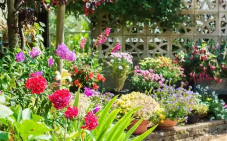 Gartenarbeit im Sommer Tipps für Juli und August