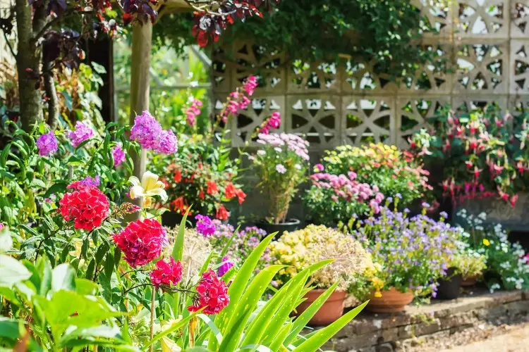 Gartentipps-f-r-den-Sommer-Diese-Gartenarbeiten-stehen-im-Juli-und-August-bevor